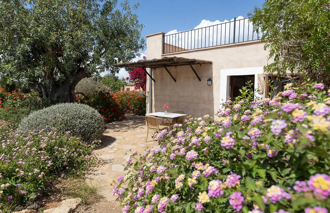 Finca Son Marimon - Adults Only-1