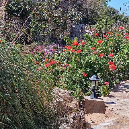 Finca Son Marimon - Adults Only-2